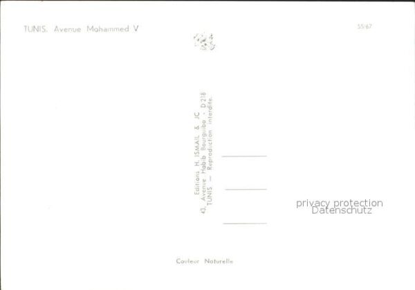 Tunis Avenue Mohammed 5 – Bild 2