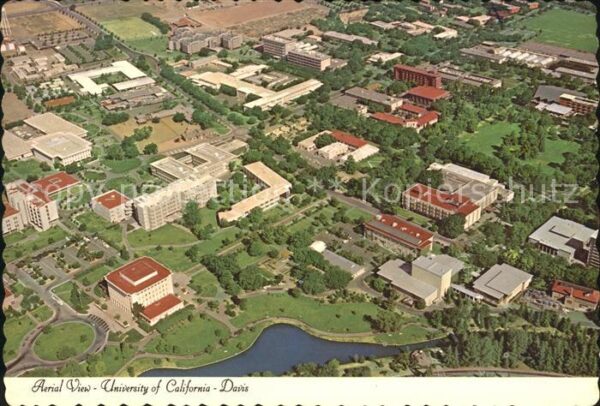 California City University of C.