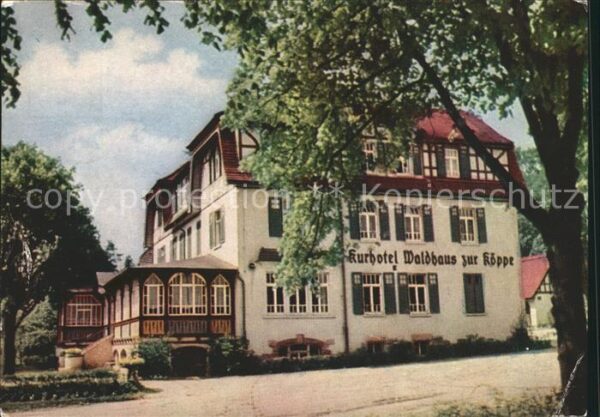 Bad Klosterlausnitz Kurhotel Waldhaus zur Köppe