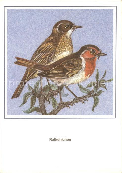 Voegel Rotkehlchen Künstlerkarte R. Schiller