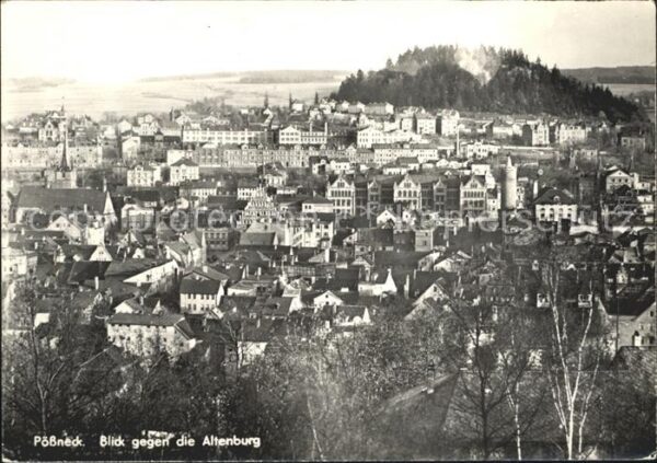Poessneck Panorama mit der Altenburg