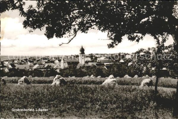 Grossrinderfeld Panorama