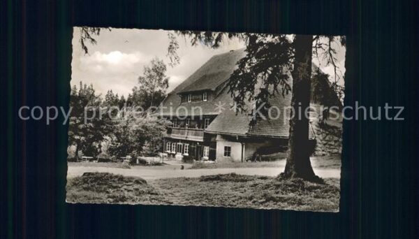 Schonach Schwarzwald Cafe Pension Bergwaldhof