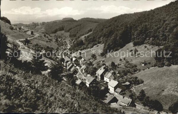 Lerbach Harz Panorama