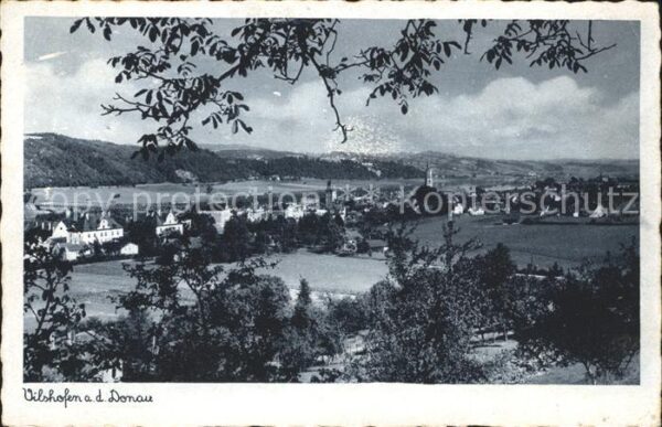 Vilshofen Donau Panorama