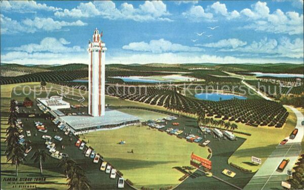Clermont Florida Citrus Observation Tower Illustration