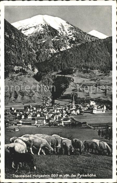 Hofgastein Blick von der Pyrkerhöhe Schafherde Alp