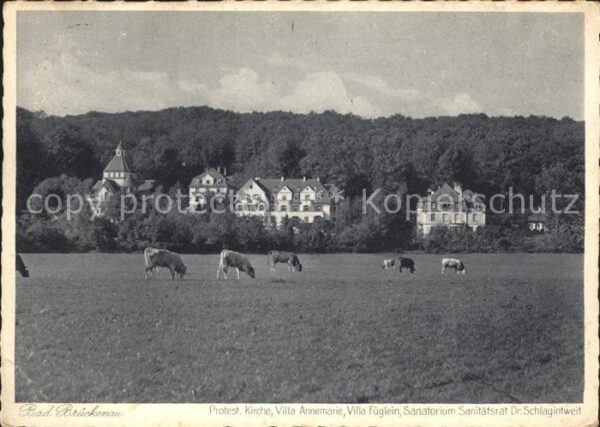 Bad Brueckenau Kirche Villas Sanatorium Kühe