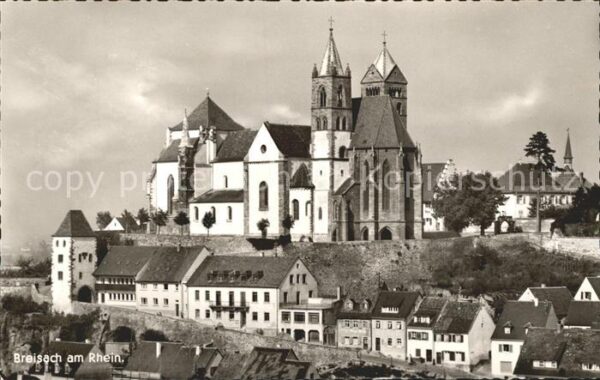 Breisach Rhein Münster