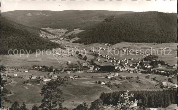 Mitteltal Schwarzwald Fliegeraufnahme