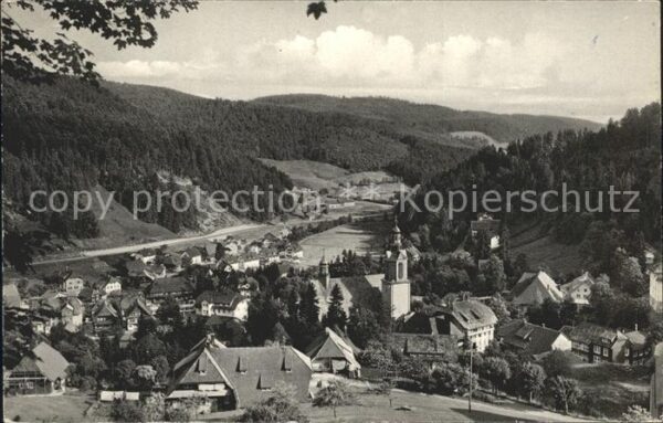 Todtmoos Ortsansicht