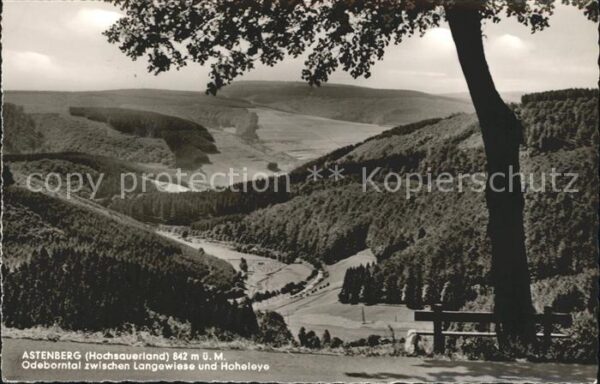 Astenberg Odeborntal zwischen Langewiese und Hohe