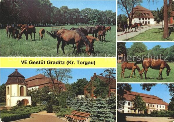 Graditz Pferdegestüt