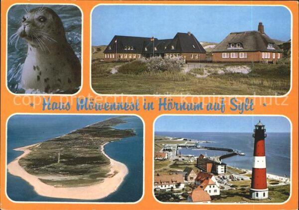 Hoernum Sylt Haus Möwennest Leuchtturm Fliegeraufnah