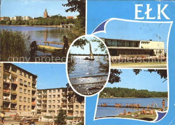 Elk
