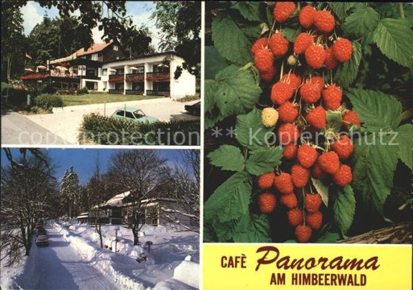 Braunlage Pension Cafe Panorama am Himbeerwald