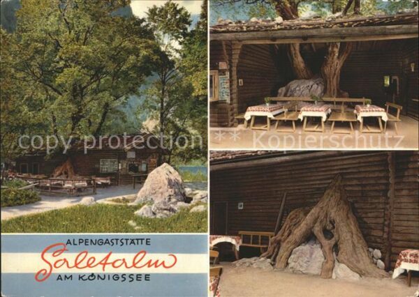 Koenigsee Berchtesgaden Alpengaststätte Saletalm Vesperplatz Ba