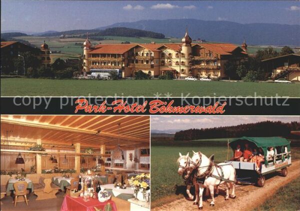 Warzenried Park Hotel Böhmerwald Gastraum Pferdewa