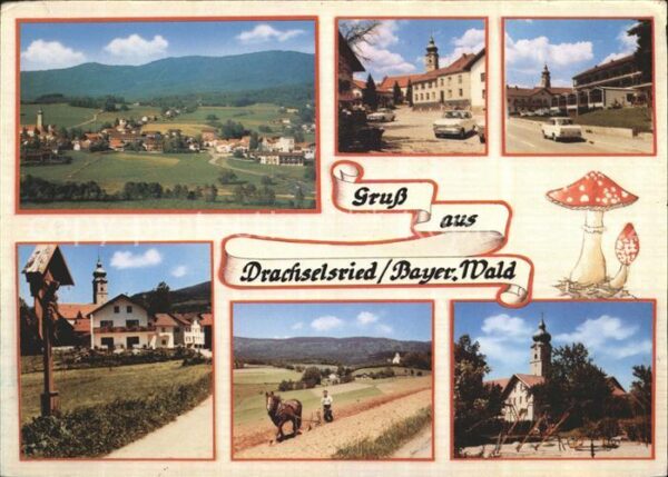 Drachselsried Panorama Strassenpartien Wegekreuz Pfer