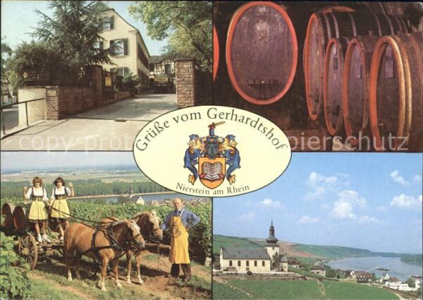 Nierstein Rhein Gerhardtshof Weinkeller Pferdegespann W