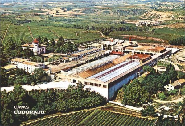 Codorniu