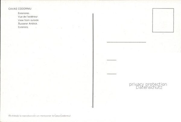 Codorniu – Bild 2
