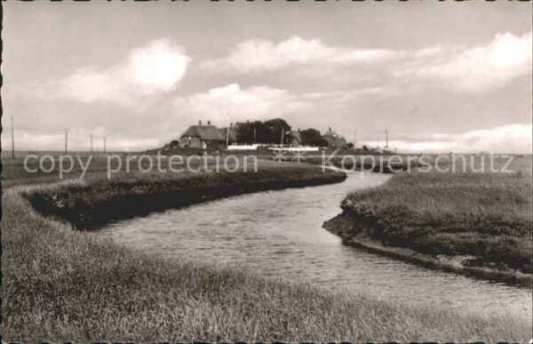 Hallig Hooge Backens Warft
