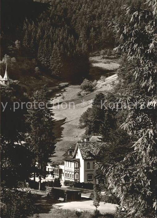 Lauterbach Schwarzwald Cafe Restaurant Pension Tannenhof Luftk
