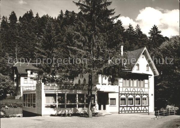 Lauterbach Schwarzwald Cafe Restaurant Pension Tannenhof Luftk