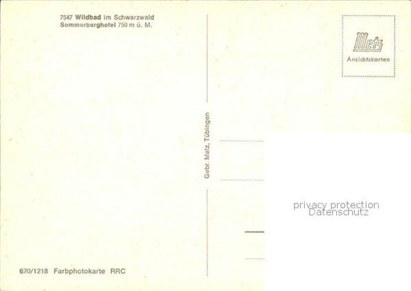 Bad Wildbad Sommerberghotel Schwarzwald – Bild 2