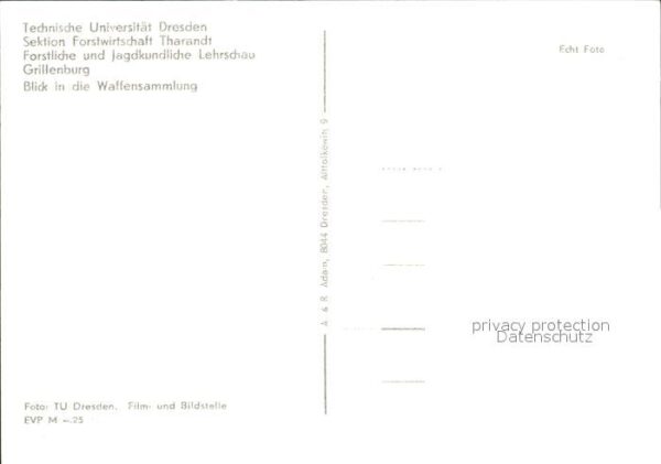 Dresden Technische Universität Sektion Forstwir – Bild 2
