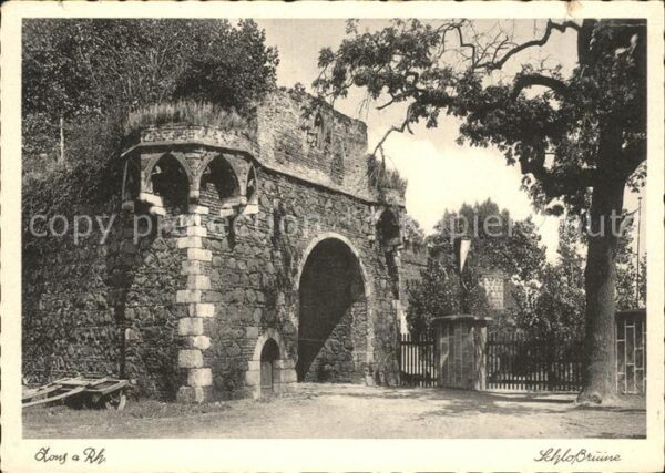 Zons Schlossruine