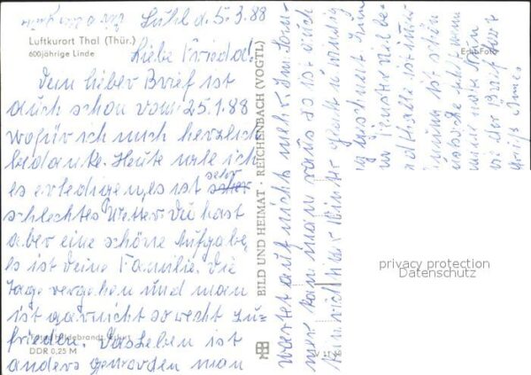 Thal Ruhla 600 jährige Linde – Bild 2