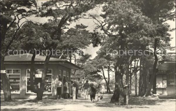 Dierhagen Ostseebad Ladenstrasse am Strand
