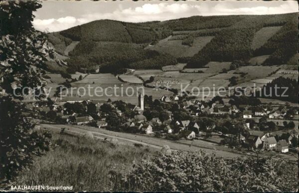 Saalhausen Sauerland Panorama