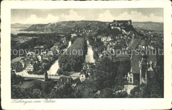 Tuebingen Fliegeraufnahme von Osten