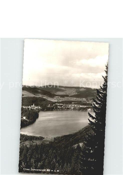 Titisee Panorama