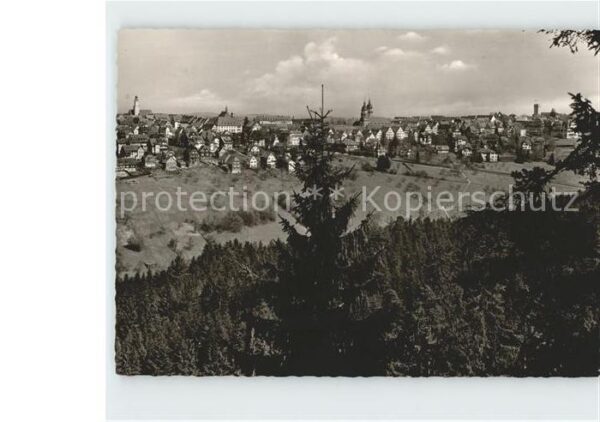 Freudenstadt Panorama