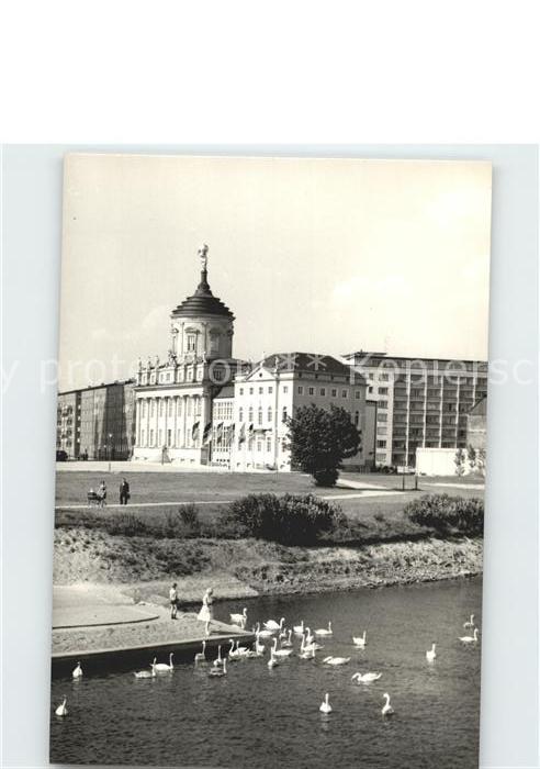 Potsdam An der Langen Brücke Schwäne