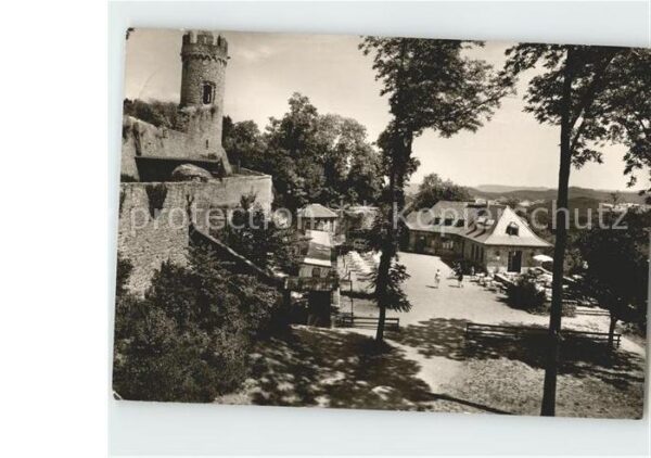 Heppenheim Bergstrasse Burgcafe Greifvogelwarte Falknerei Star