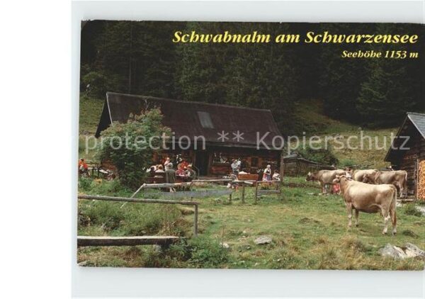 Stein Enns Schwabnalm am Schwarzensee Terrasse Rin