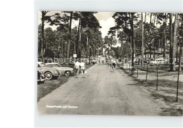Trassenheide Usedom Allee