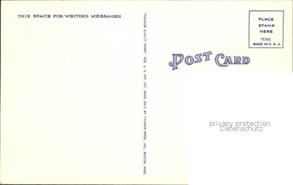 Varney West Virginia Lake Winnipesaukee Timber Blackcat Mark – Bild 2