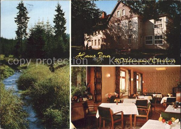 Wildemann Haus Ina