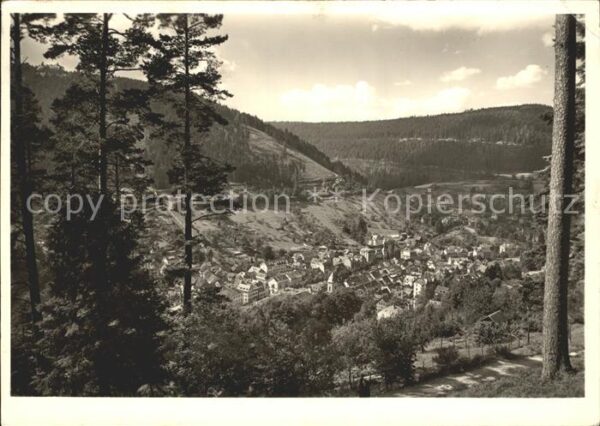 Wildbad Schwarzwald