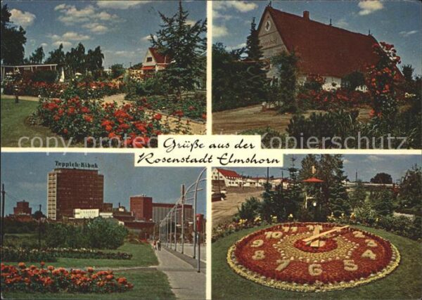 Elmshorn Schaugarten Rosenhof Teppich Kibek Blum