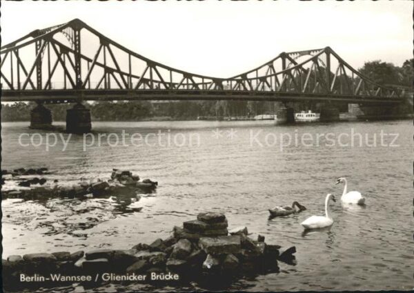 Wannsee Glienicker Brücke Schwan
