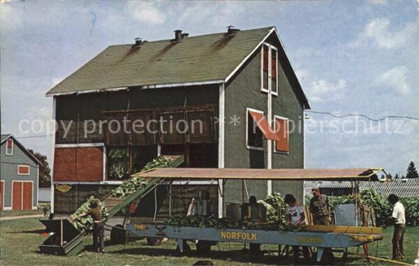 Brantford Scene in the tobacco farming areas