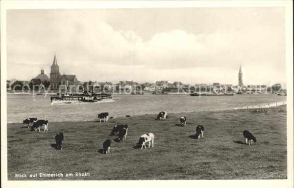 Emmerich Rhein Viehweide Kühe Dampfer Kirche