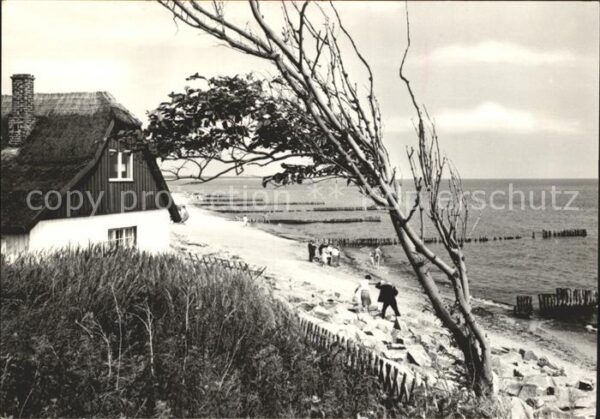 Ahrenshoop Ostseebad Dünenhaus Strand Ostseebad